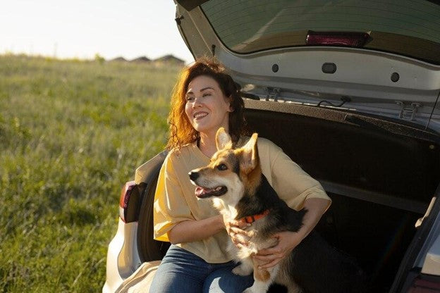 Pets on the Move: How to Live Successfully in Different States with a Pet