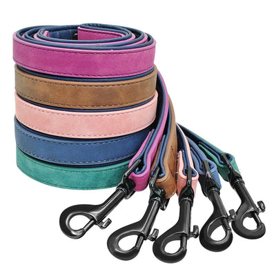 How to Choose the Best Dog Leash For Your Dog