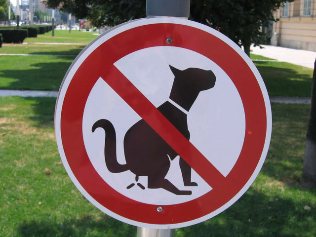 Top 7 Reasons to clean up after your dog — no dog poop sign on grass