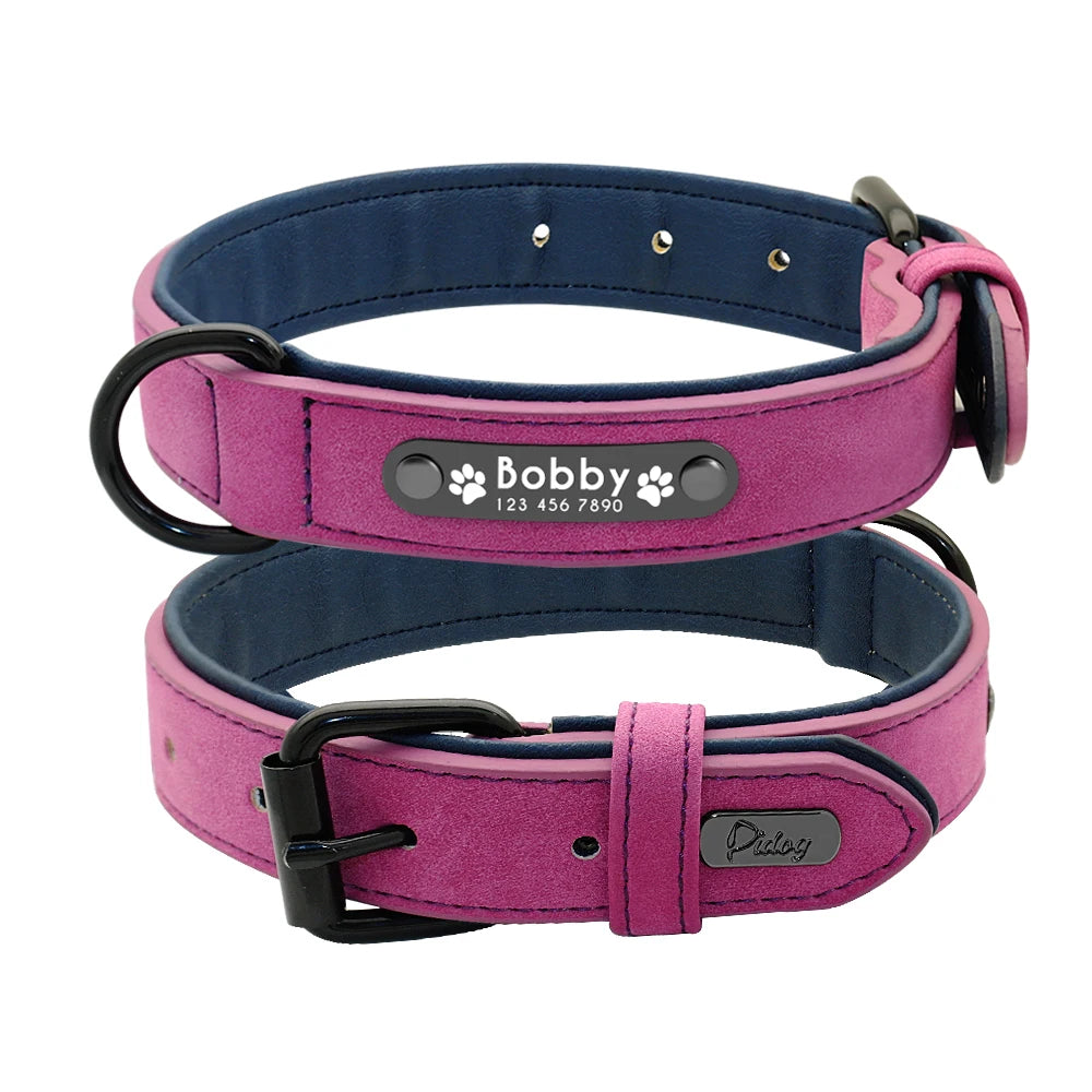 Leather Collar Leash