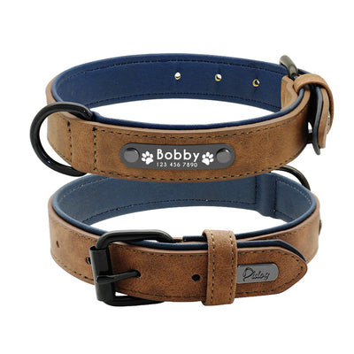 Leather Collar & Leash