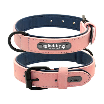 Leather Collar & Leash