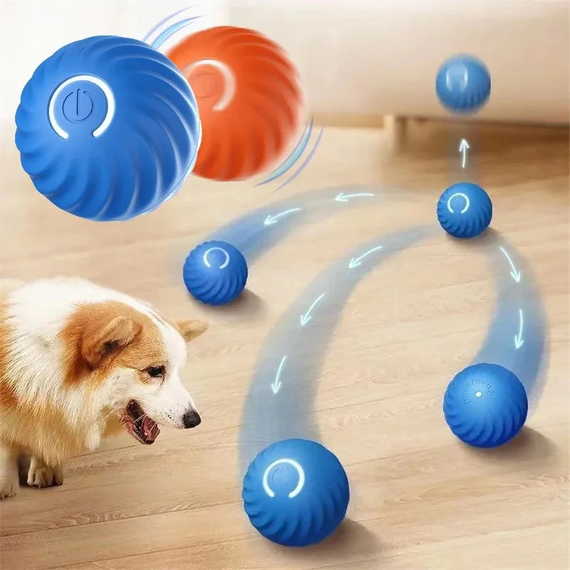 smart interactive dog ball