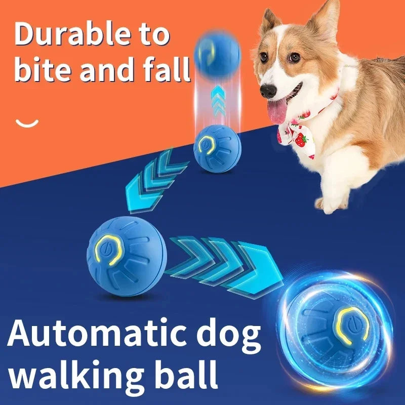 smart interactive dog ball