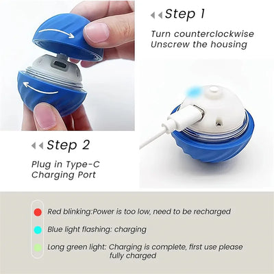 smart interactive dog ball