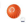 Smart Interactive Toy Ball