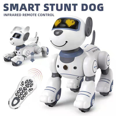 RC Robot Dog