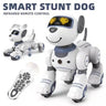 RC Smart Robot Toy