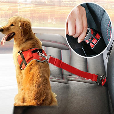 Car Seatbelt - Dog's Love Store