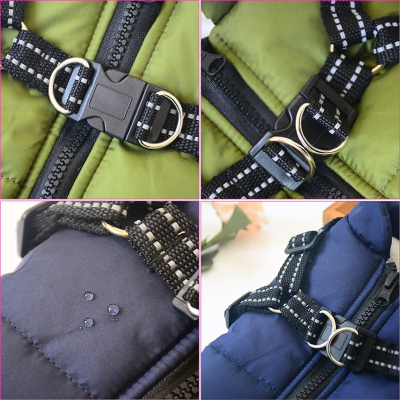 Sports Harness - Dog's Love Store