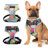 French Bulldog Harness