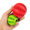 Treat Ball